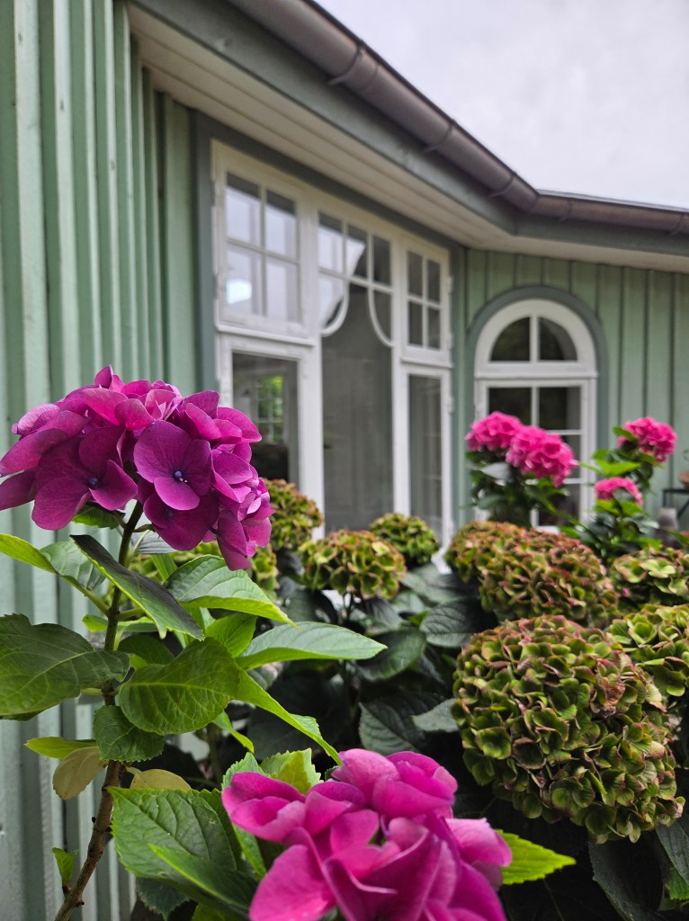 Stuga i Köpenhamn